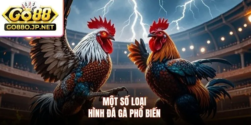 Một số loại hình đá gà phổ biến