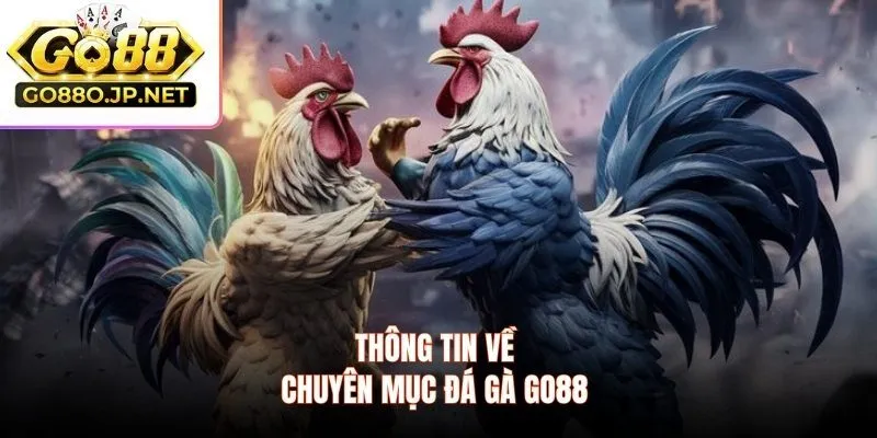 Thông tin về chuyên mục đá gà Go88