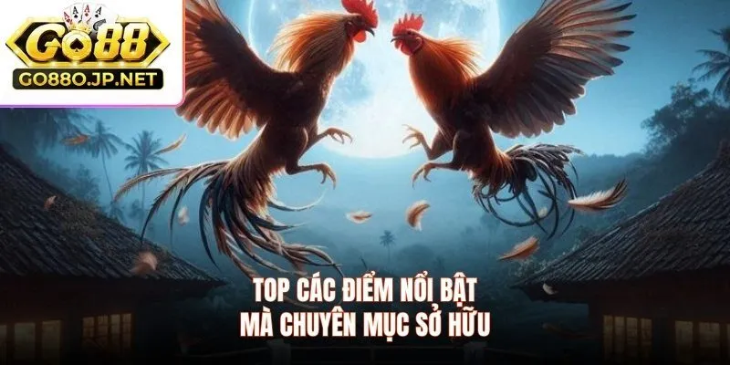 Top các điểm nổi bật mà chuyên mục sở hữu